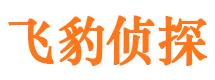 江洲市婚外情调查